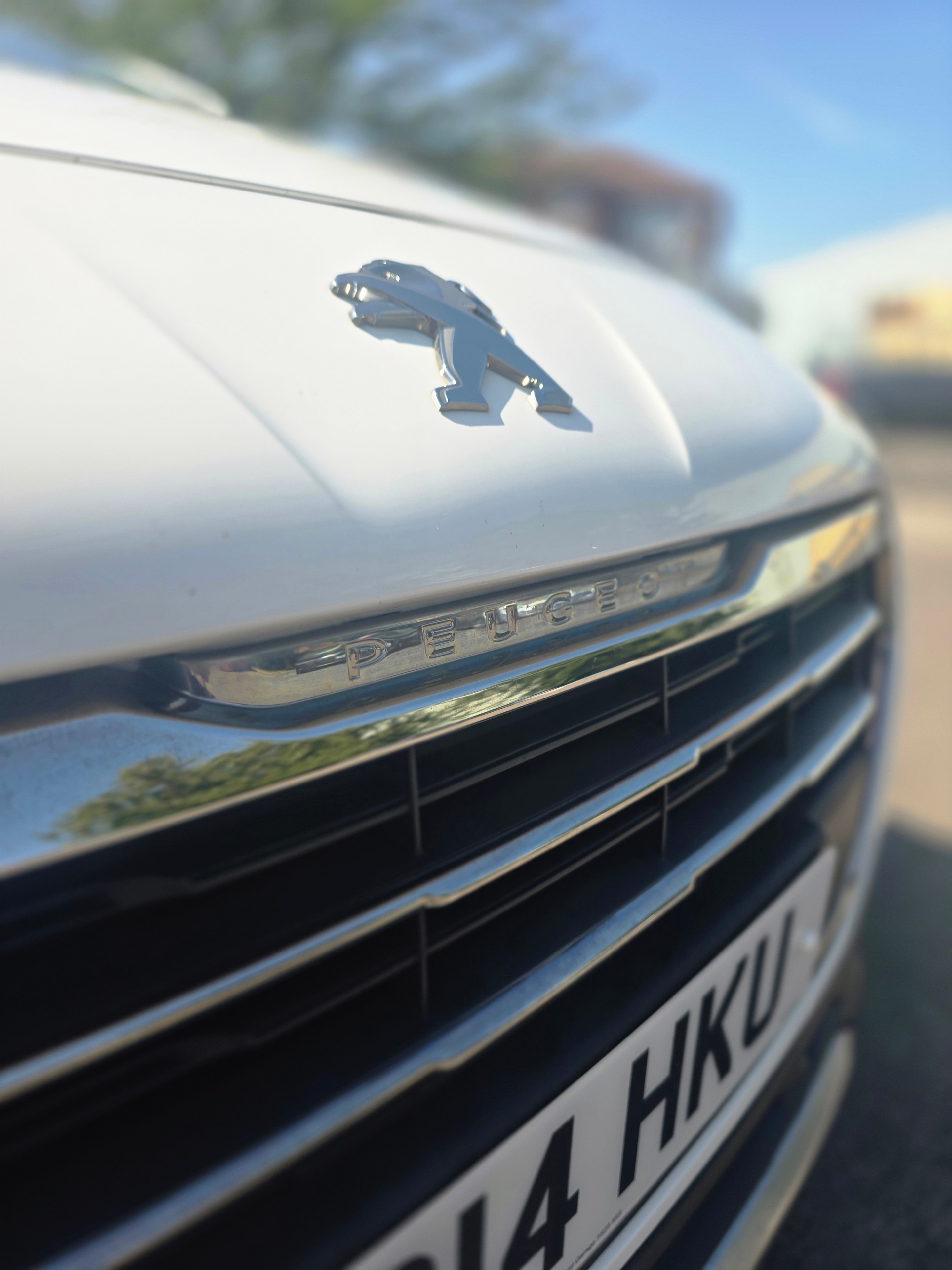 Peugeot lion badge on bonnet